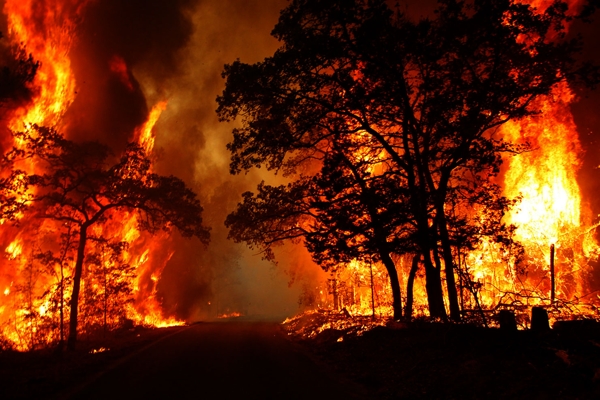 آتش سوزی در 8.5 هکتار از جنگل های گیلان