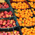 آغاز توزیع میوه شب عید در ۵۰ مرکز منتخب سطح گیلان / قیمت سیب و پرتقال مشخص شد