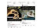 کلاهبرداری میلیونی به بهانه بخت گشایی اینستاگرامی!