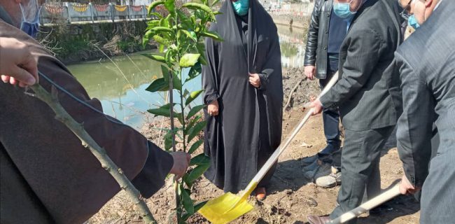 کاشت نهال توسط رییس اداره آموزش و پرورش شهرستان خمام در مراسم بزرگداشت درختکاری