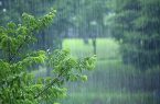 خسارت بارش رگباری باران به برخی شهرستان‌های گیلان