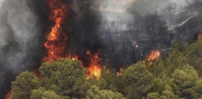آتش سوزی عرصه های طبیعی ۵ شهرستان گیلان/ حدود ۸۰ هکتار در آتش سوخت
