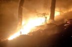 منابع طبیعی: ۳۰ هکتار از جنگل‌های رودبار آتش گرفت