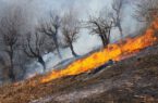 هشدار آتش سوزی در مناطق جنگلی و تالابی گیلان