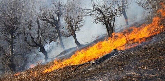 آتش سوزی ۶ هزار مترمربع از مناطق جنگلی گیلان