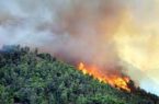 اطفاء آتش سوزی بیش از ۵۰ هکتار از مناطق جنگلی گیلان