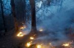 آتش سوزی در جنگل‌های درفک مهار شد / آتش بی دقتی مسافران تن جنگل‌های درفک را سوزاند