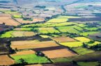 حدنگاری و صدور سند برای ۲۸ درصد زمین‌های کشاورزی شهرستان لاهیجان