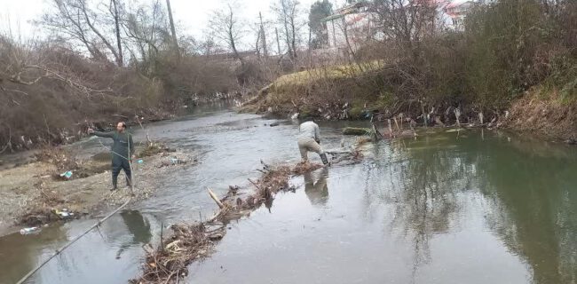 پاکسازی مسیر مهاجرت ماهیان استخوانی در رودخانه‌های شهرستان تالش