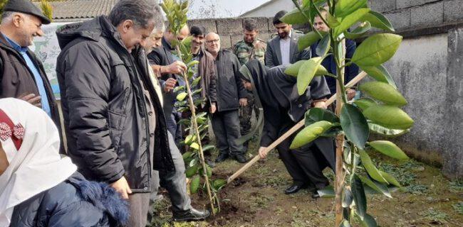 توزیع ۴۸ هزار اصله نهال همزمان با هفته منابع طبیعی در رودسر