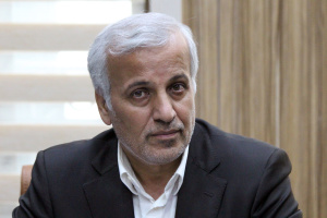 نظام بانکی حمایت های لازم را از کشاورزان انجام نمی دهد/مافیای واردات برنج در دستگاه ها نفوذ دارند