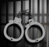 عامل حیوان آزاری در تالش دستگیر شد