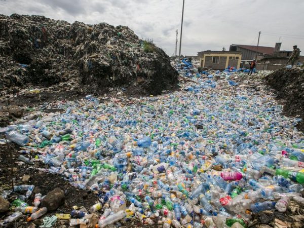 Scientists create mutant enzymes that eat plastic bottles