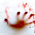 رابطه نامشروع خانم معاون با پسر 20 ساله به مرگ وی ختم شد/شوهر دوم زن میانسال انتقام خونین گرفت!