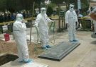 شیوع مجدد بیماری مرگبار «تب کریمه کنگو» در ایران/ابتلای 12 نفر و مرگ 2 نفر تایید شد شیوع مجدد بیماری مرگبار «تب کریمه کنگو» در ایران/ابتلای 12 نفر و مرگ 2 نفر تایید شد