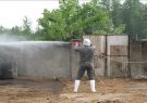 سم پاشی پنج هزار مترمربع جایگاه دام در صومعه سرا برای مقابله با تب کریمه کنگو سم پاشی پنج هزار مترمربع جایگاه دام در صومعه سرا برای مقابله با تب کریمه کنگو