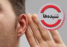 تداوم جوانگرایی و بهره گیری از نیروی های حامی تدبیر و امید در گیلان تداوم جوانگرایی و بهره گیری از نیروی های حامی تدبیر و امید در گیلان