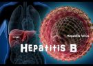 خون اصلیترین عامل انتقالدهنده ویروس هپاتیت است/مردم در انجام حجامت و طب سوزنی دقت کنند خون اصلیترین عامل انتقالدهنده ویروس هپاتیت است/مردم در انجام حجامت و طب سوزنی دقت کنند