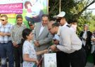 جشنواره پرواز بادبادک در بام سبز لاهیجان جشنواره پرواز بادبادک در بام سبز لاهیجان