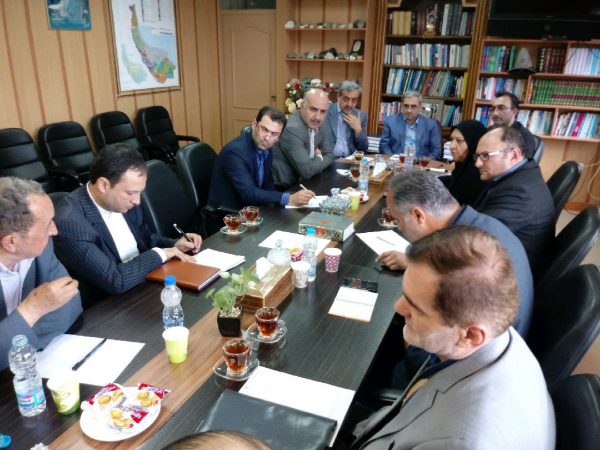 هیچ مانعی برای حمایت از محصول زیتون نداریم/لزوم کاهش واردات روغن زیتون با افزایش کیفیت محصول داخلی