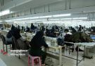 ۷۱۶ کارگر بیکار شده گیلانی به چرخه اشتغال بازگشتند ۷۱۶ کارگر بیکار شده گیلانی به چرخه اشتغال بازگشتند