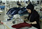 بررسي شاخص هاي كار و اشتغال استان در دولت سيزدهم/ از افزايش ۱۳۶ درصدي اعطاي تسهيلات اشتغال روستايي تا رشد ۱۹۱ درصدي صدور مجوزهاي مشاغل خانگي بررسي شاخص هاي كار و اشتغال استان در دولت سيزدهم/ از افزايش ۱۳۶ درصدي اعطاي تسهيلات اشتغال روستايي تا رشد ۱۹۱ درصدي صدور مجوزهاي مشاغل خانگي