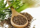 خواص بی نظیر عرق رازیانه خواص بی نظیر عرق رازیانه