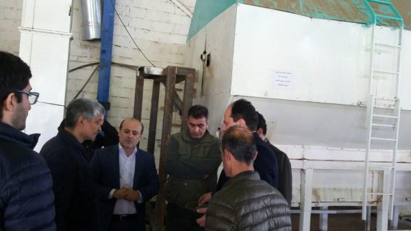 شرکت جنگل های شفارود به جنگل کارى و حفاظت از جنگل ها و افزایش سطح جنگل ها اهتمام و توجه ویژه اى دارد