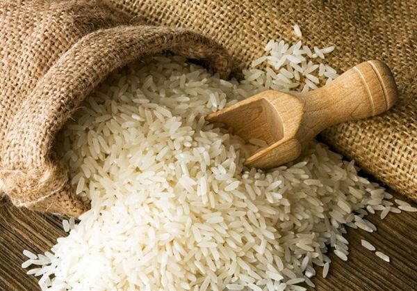  در نرخ خرید تضمینی گندم تجدید نظر کنید