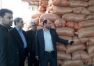 فرآوری حرفه ای بادام زمینی، می تواند اقتصاد گیلان را متحول کند/صنایع غذایی، هیچگاه تعطیل پذیر نیستند