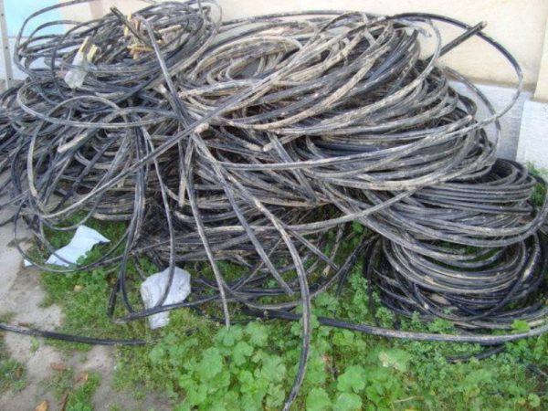 سارق کابل های مخابراتی آستارا دستگیر شد
