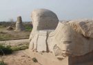 گودبرداران به جان شوش افتادند گودبرداران به جان شوش افتادند