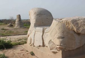 گودبرداران به جان شوش افتادند