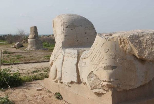 گودبرداران به جان شوش افتادند