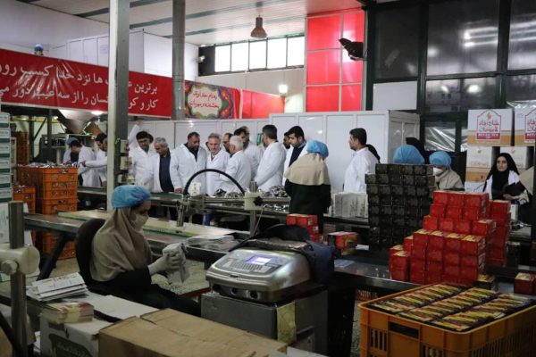 بررسی توانمندی کارخانجات چای کشور در حوزه تولید چای کیسه‌ای در جهت حمایت از مصرف کالای ایرانی