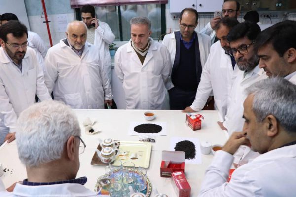 گزارش تصویری نشست همکاری نیروهای مسلح و سازمان چای جهت حمایت از تولید چای ایرانی