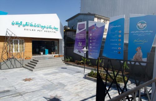 افتتاح نخستین بیمارستان ویژه دامهای کوچک در گیلان