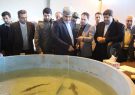 لزوم اجتناب از اعمال محدودیتهای بی جهت برای استفاده از تالاب انزلی لزوم اجتناب از اعمال محدودیتهای بی جهت برای استفاده از تالاب انزلی