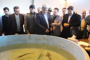 لزوم اجتناب از اعمال محدودیت‌های بی جهت برای استفاده از تالاب انزلی