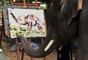 گزارش تصویری نمایشگاه عجیب نقاشی حیوانات