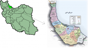 سیل گیلان را تهدید نمی کند/آماده کمک به استان های شمالی هستیم
