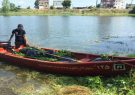 عملیات آتش نشانی برای مهار سنبل آبی در تالاب عینک رشت عملیات آتش نشانی برای مهار سنبل آبی در تالاب عینک رشت