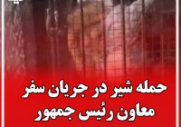 حمله شیر در جریان بازدید معاون رئیس جمهور از دهکده طبیعت قزوین