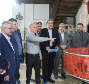 چای ایرانی شناسه دار می شود