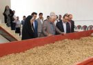 افتتاح پروژه طرح سورتینگ خشکبار در بخش کرگانرود