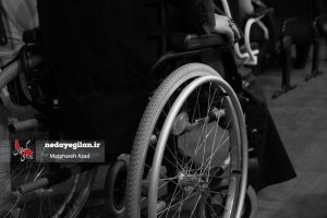 ۳۵ درصد معلولیت های گیلان مادرزاد است