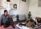 دلخواسته با فیلم بارانی خود مسافر برزیل می شود دلخواسته با فیلم بارانی خود مسافر برزیل می شود