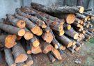 کشف پنج تن چوب جنگلی قاچاق در آستانه اشرفیه کشف پنج تن چوب جنگلی قاچاق در آستانه اشرفیه