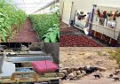 پرداخت 23 میلیارد تسهیلات اشتغال روستایی و عشایری در رودسر پرداخت 23 میلیارد تسهیلات اشتغال روستایی و عشایری در رودسر