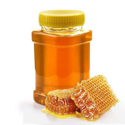 افزایش فعالیت جوانان در تولید عسل گیلان